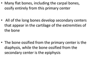 • Many flat bones, including the carpal bones, 
ossify entirely from this primary center 
• All of the long bones develop secondary centers 
that appear in the cartilage of the extremities of 
the bone 
• The bone ossified from the primary center is the 
diaphysis, while the bone ossified from the 
secondary center is the epiphysis 
 