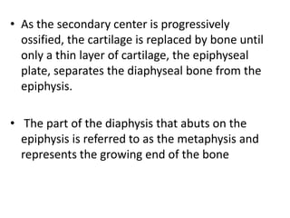 • As the secondary center is progressively 
ossified, the cartilage is replaced by bone until 
only a thin layer of cartilage, the epiphyseal 
plate, separates the diaphyseal bone from the 
epiphysis. 
• The part of the diaphysis that abuts on the 
epiphysis is referred to as the metaphysis and 
represents the growing end of the bone 
 