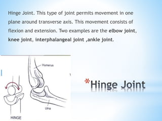 Hinge Joint Example Structures bone anatomy.pptx