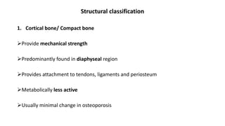 Structural classification
1. Cortical bone/ Compact bone
Provide mechanical strength
Predominantly found in diaphyseal region
Provides attachment to tendons, ligaments and periosteum
Metabolically less active
Usually minimal change in osteoporosis
 
