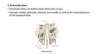 BONE ANATOMY HISTOLOGY FORMATION OF BONE PPTX bone-anatomy-histology-formation-of-bone-pptx
