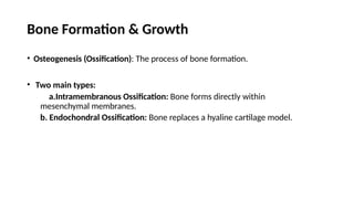 BONE ANATOMY , HISTOLOGY, FORMATION OF BONE | PPTX
