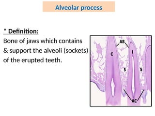 Bone and Alveolar process .............. | PPTX