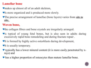 bone and cartilage.pptx Here's a concise overview of bone anatomy ...