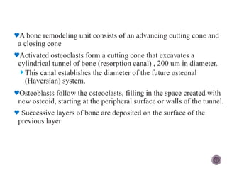 bone and cartilage.pptx Here's a concise overview of bone anatomy ...