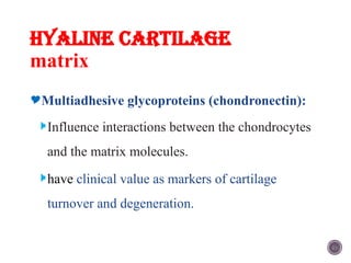 Chondronectin bone and cartilage.pptx Here's a concise overview of bone anatomy ...