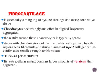 Isogeneous Aggregates bone and cartilage.pptx Here's a concise overview of bone anatomy ...
