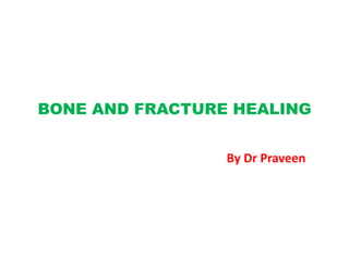 BONE AND FRACTURE HEALING
By Dr Praveen
 