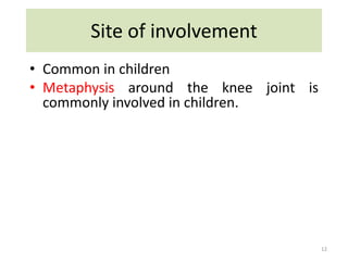 Site of involvement
• Common in children
• Metaphysis around the knee joint is
commonly involved in children.
12
 