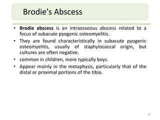 • Brodie abscess is an intraosseous abscess related to a
focus of subacute pyogenic osteomyelitis.
• They are found characteristically in subacute pyogenic
osteomyelitis, usually of staphylococcal origin, but
cultures are often negative.
• common in children, more typically boys.
• Appear mainly in the metaphysis, particularly that of the
distal or proximal portions of the tibia.
42
Brodie's Abscess
 