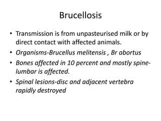 Brucellosis
• Transmission is from unpasteurised milk or by
direct contact with affected animals.
• Organisms-Brucellus melitensis , Br abortus
• Bones affected in 10 percent and mostly spine-
lumbar is affected.
• Spinal lesions-disc and adjacent vertebra
rapidly destroyed
 