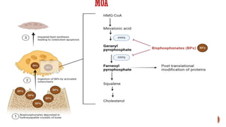 Bone and osteoporosis drugs pharmacology.pptx