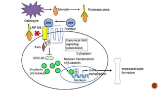 Bone and osteoporosis drugs pharmacology.pptx