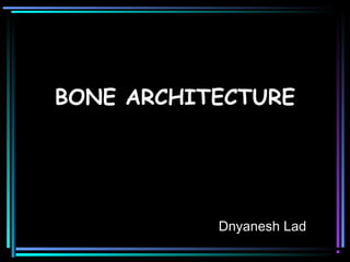 BONE ARCHITECTURE
Dnyanesh Lad
 