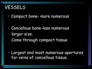 VESSELS
• Compact bone- more numerous
• Cancellous bone-less numerous
larger size.
Come through compact tissue
• Largest and most numerous apertures
for veins of cancellous tissue.
 