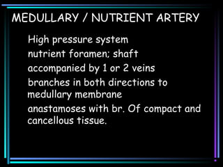 MEDULLARY / NUTRIENT ARTERY
High pressure system
nutrient foramen; shaft
accompanied by 1 or 2 veins
branches in both directions to
medullary membrane
anastamoses with br. Of compact and
cancellous tissue.
 
