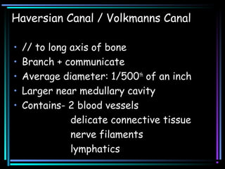 Haversian Canal / Volkmanns Canal
• // to long axis of bone
• Branch + communicate
• Average diameter: 1/500th
of an inch
• Larger near medullary cavity
• Contains- 2 blood vessels
delicate connective tissue
nerve filaments
lymphatics
 