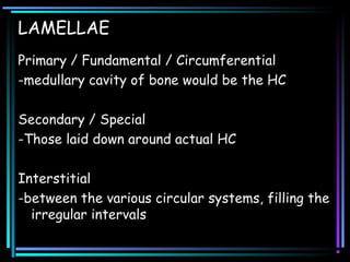 LAMELLAE
Primary / Fundamental / Circumferential
-medullary cavity of bone would be the HC
Secondary / Special
-Those laid down around actual HC
Interstitial
-between the various circular systems, filling the
irregular intervals
 