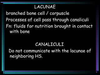 LACUNAE
branched bone cell / corpuscle
Processes of cell pass through canaliculi
Fn: fluids for nutrition brought in contact
with bone
CANALICULI
Do not communicate with the lacunae of
neighboring HS.
 