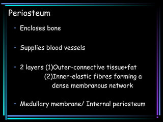 Periosteum
• Encloses bone
• Supplies blood vessels
• 2 layers (1)Outer-connective tissue+fat
(2)Inner-elastic fibres forming a
dense membranous network
• Medullary membrane/ Internal periosteum
 