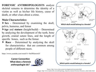 Forensic Anthropology: Unveiling Stories Through Skeletal Analysis | PPTX
