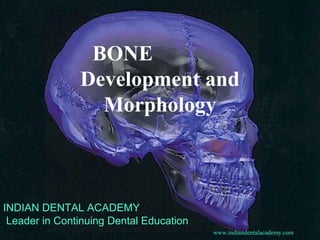 BONE
Development and
Morphology
INDIAN DENTAL ACADEMY
Leader in Continuing Dental Education
www.indiandentalacademy.com
 