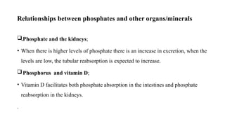 Relationships between phosphates and other organs/minerals
.Phosphate and the kidneys;
• When there is higher levels of phosphate there is an increase in excretion, when the
levels are low, the tubular reabsorption is expected to increase.
Phosphorus and vitamin D;
• Vitamin D facilitates both phosphate absorption in the intestines and phosphate
reabsorption in the kidneys.
.
 