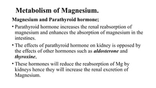 Metabolism of Magnesium.
Magnesium and Parathyroid hormone;
• Parathyroid hormone increases the renal reabsorption of
magnesium and enhances the absorption of magnesium in the
intestines.
• The effects of parathyroid hormone on kidney is opposed by
the effects of other hormones such as aldosterone and
thyroxine,
• These hormones will reduce the reabsorption of Mg by
kidneys hence they will increase the renal excretion of
Magnesium.
 