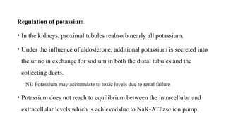 Regulation of potassium
• In the kidneys, proximal tubules reabsorb nearly all potassium.
• Under the influence of aldosterone, additional potassium is secreted into
the urine in exchange for sodium in both the distal tubules and the
collecting ducts.
NB Potassium may accumulate to toxic levels due to renal failure
• Potassium does not reach to equilibrium between the intracellular and
extracellular levels which is achieved due to NaK-ATPase ion pump.
 