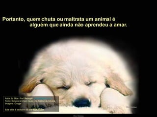 Portanto, quem chuta ou maltrata um animal é  alguém que ainda não aprendeu a amar. Autor do Slide: Ria Ellwanger  [email_address]   Texto: Boneca & Chico Xavier, de Adelino da Silveira Imagens: Google  Este slide é exclusivo do site  Ria Slides 