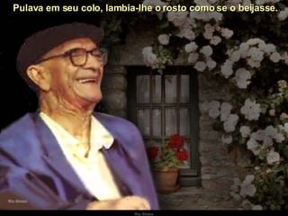   Pulava em seu colo, lambia-lhe o rosto como se o beijasse. 