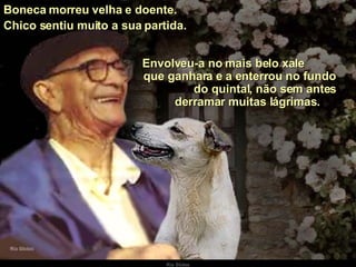 Boneca morreu velha e doente. Envolveu-a no mais belo xale  que ganhara e a enterrou no fundo  do quintal, não sem antes derramar muitas lágrimas. Chico sentiu muito a sua partida. 