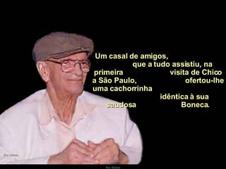   Um casal de amigos,  que a tudo assistiu, na primeira  visita de Chico a São Paulo,  ofertou-lhe uma cachorrinha  idêntica à sua saudosa  Boneca. 