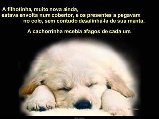 A filhotinha, muito nova ainda,  estava envolta num cobertor, e os presentes a pegavam  no colo, sem contudo desalinhá-la de sua manta. A cachorrinha recebia afagos de cada um. 
