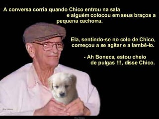   A conversa corria quando Chico entrou na sala  e alguém colocou em seus braços a pequena cachorra. Ela, sentindo-se no colo de Chico, começou a se agitar e a lambê-lo. - Ah Boneca, estou cheio  de pulgas !!!, disse Chico. 