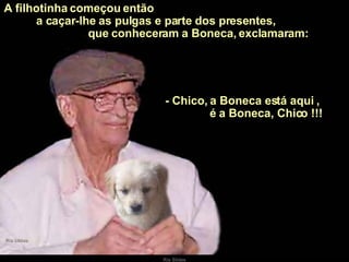 A filhotinha começou então  a caçar-lhe as pulgas e parte dos presentes,  que conheceram a Boneca, exclamaram: - Chico, a Boneca está aqui ,  é a Boneca, Chico !!! 