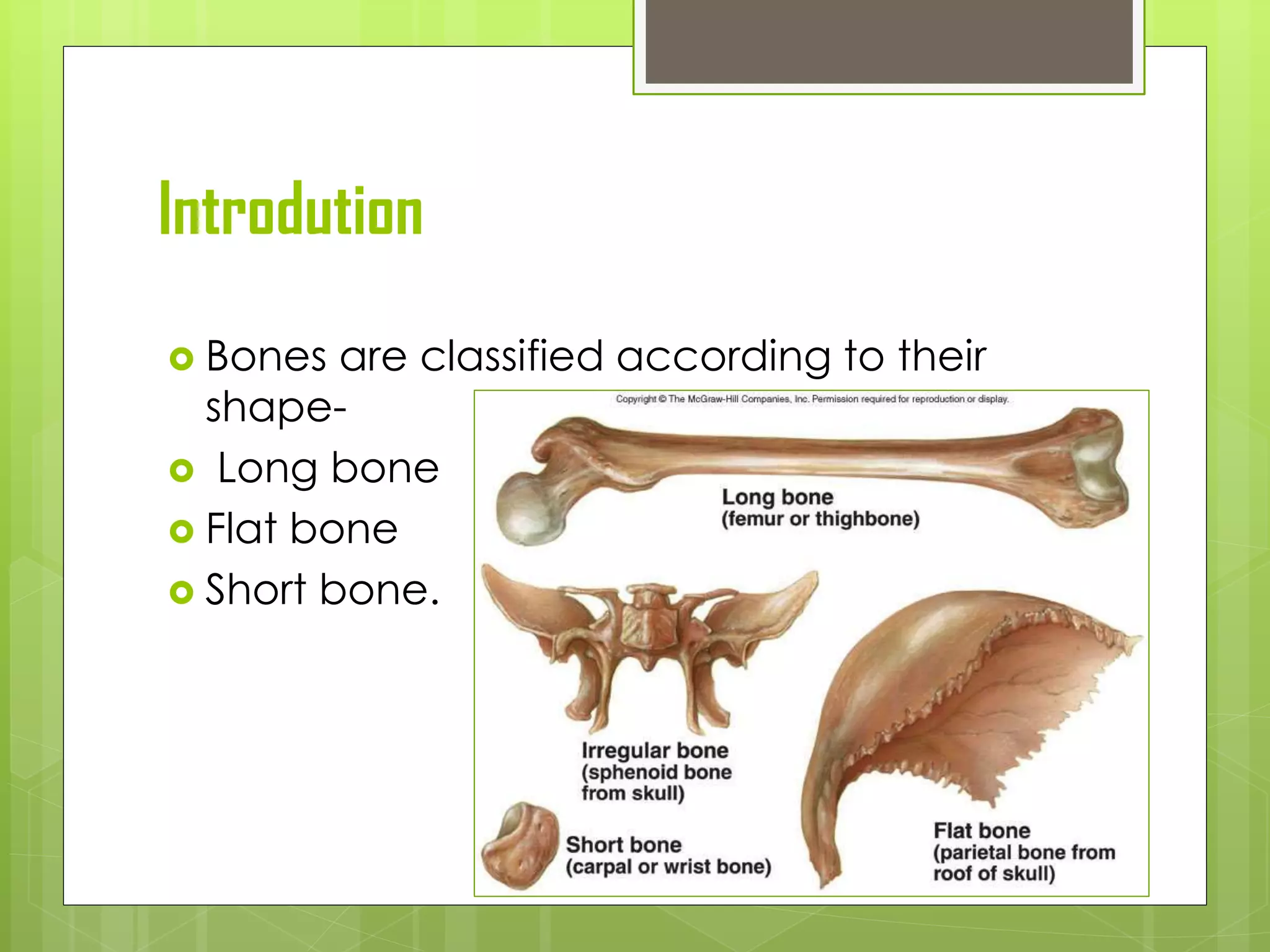 Introdution
 Bones are classified according to their
shape-
 Long bone
 Flat bone
 Short bone.
 