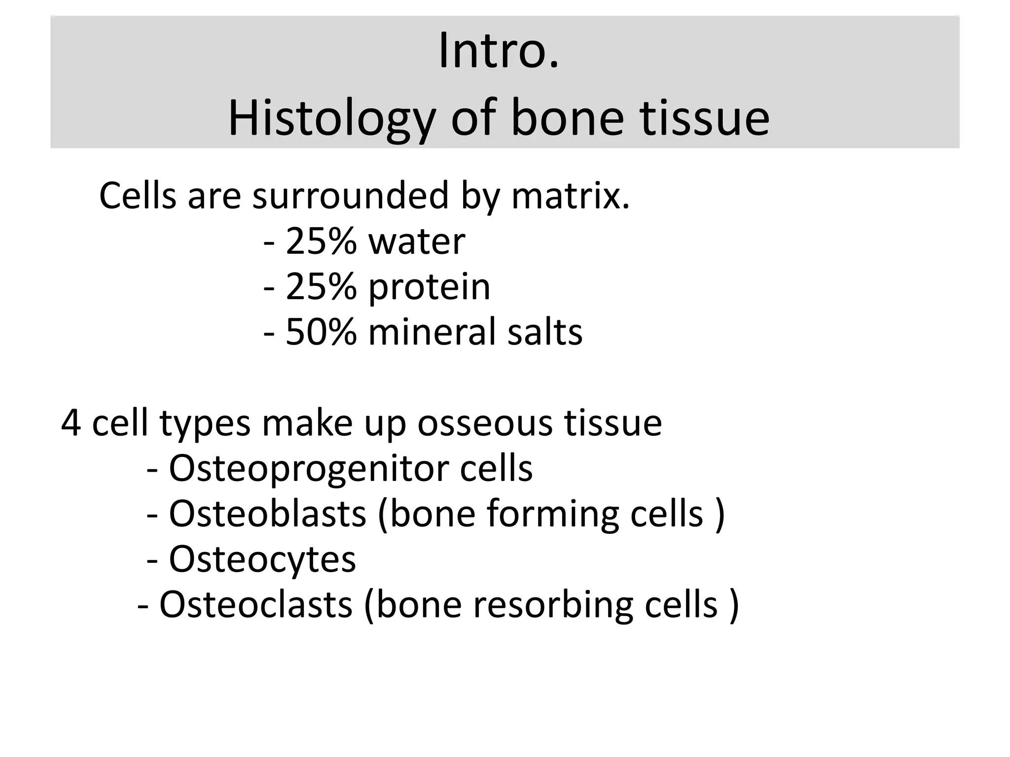 Intro.
Histology of bone tissue
Cells are surrounded by matrix.
- 25% water
- 25% protein
- 50% mineral salts
4 cell types make up osseous tissue
- Osteoprogenitor cells
- Osteoblasts (bone forming cells )
- Osteocytes
- Osteoclasts (bone resorbing cells )
 
