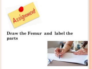 Draw the Femur and label the
parts
 