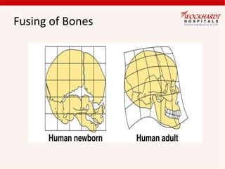 Bone care | PPTX
