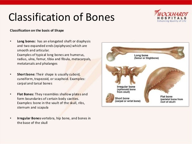 Bone care