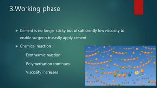 3.Working phase
 Cement is no longer sticky but of sufficiently low viscosity to
enable surgeon to easily apply cement
 Chemical reaction :
Exothermic reaction
Polymerisation continues
Viscosity increases
 