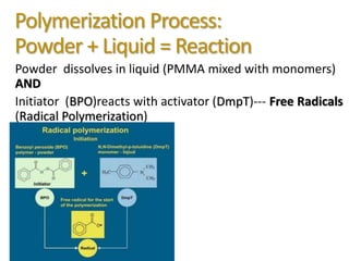 Polymerization Process:
Powder + Liquid = Reaction
Powder dissolves in liquid (PMMA mixed with monomers)
AND
Initiator (BPO)reacts with activator (DmpT)--- Free Radicals
(Radical Polymerization)
 