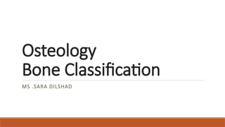 bone classification bone classification .pptx