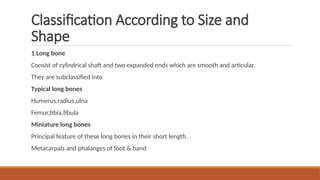 bone classification bone classification .pptx