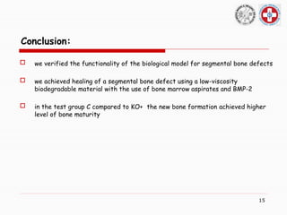 Healing of extensive bone defects (in vivo study in a rabbit model). | PPTX