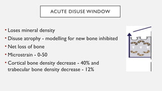 Bone Density.pptxdfrftu890-/897\]lpjkgfds | PPTX