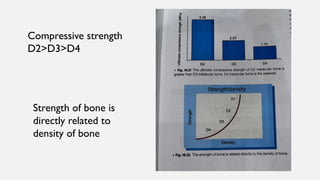 Bone Density.pptxdfrftu890-/897\]lpjkgfds | PPTX