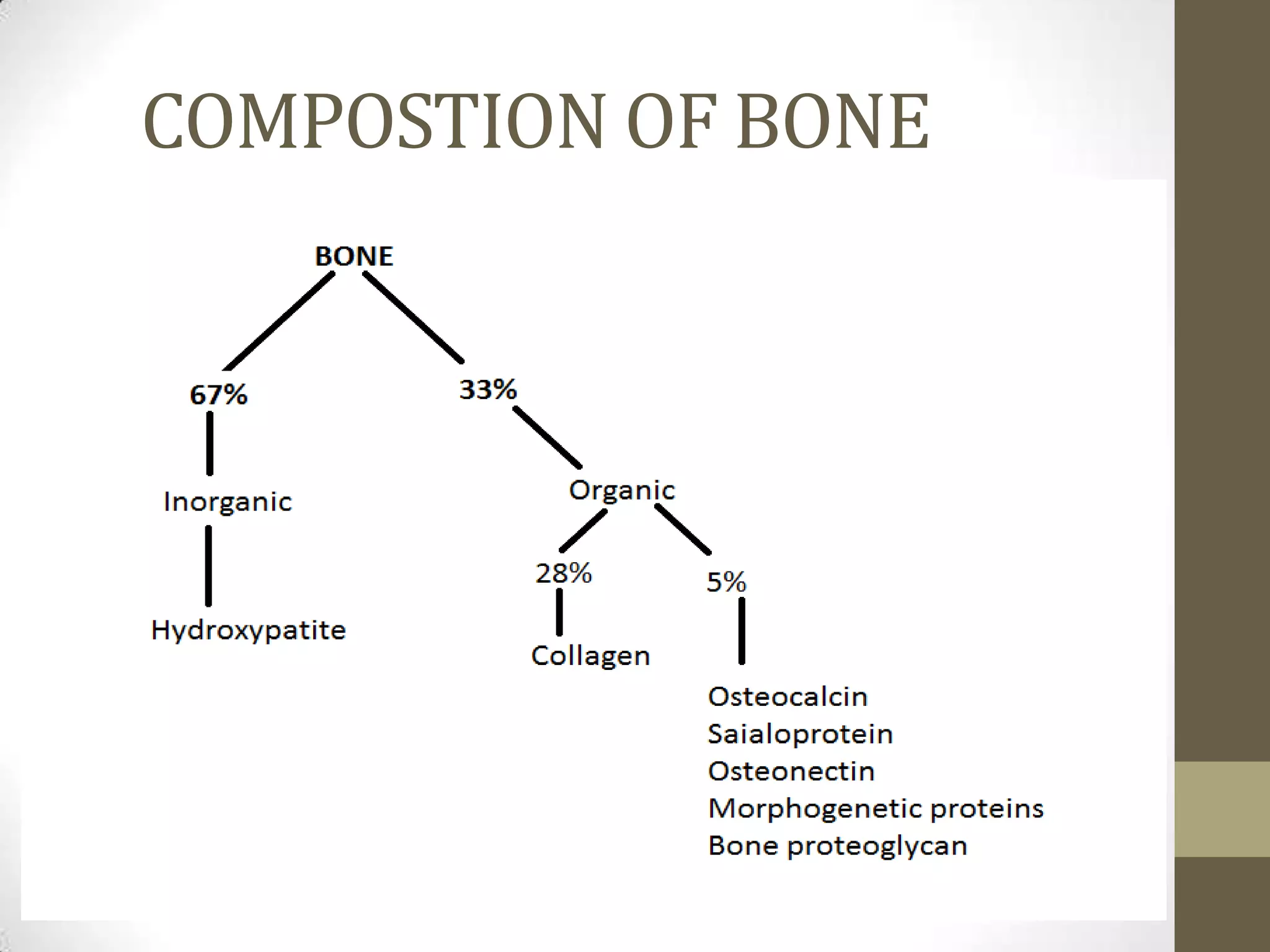 COMPOSTION OF BONE

 
