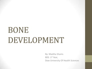 BONE
DEVELOPMENT
By: Madiha Shams
BDS 1st Year,
Dow University Of Health Sciences

 